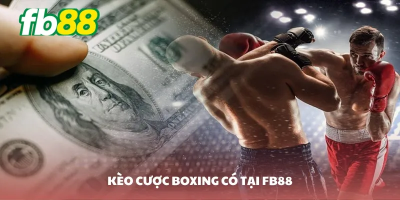 Fb88 cung cấp phong phú kèo cược boxing