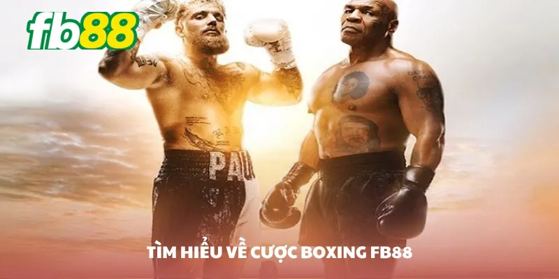 Boxing Fb88 cung cấp đầy đủ các trận đấu lớn nhỏ