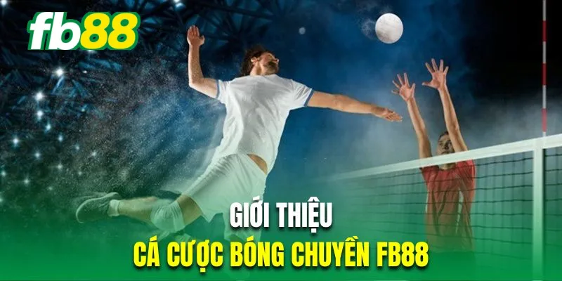 Đôi nét về hình thức cược bóng chuyền trực tuyến Fb88