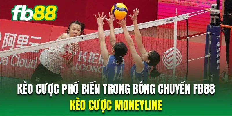 Kèo bóng chuyền moneyline có cách thức đơn giản