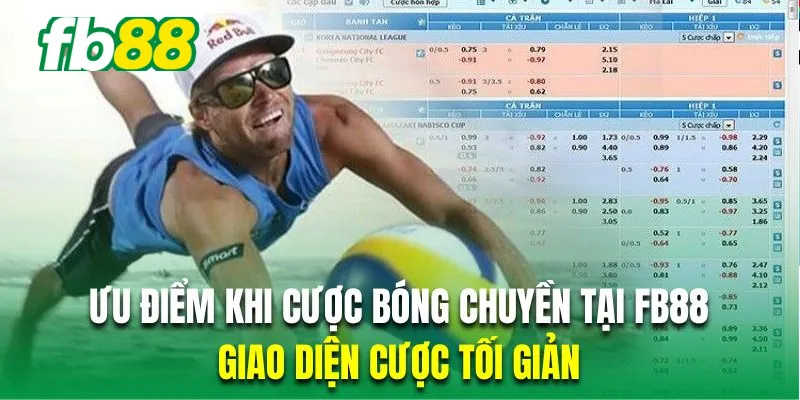 Cược bóng chuyền Fb88 có giao diện tối giản thuận tiện vào tiền